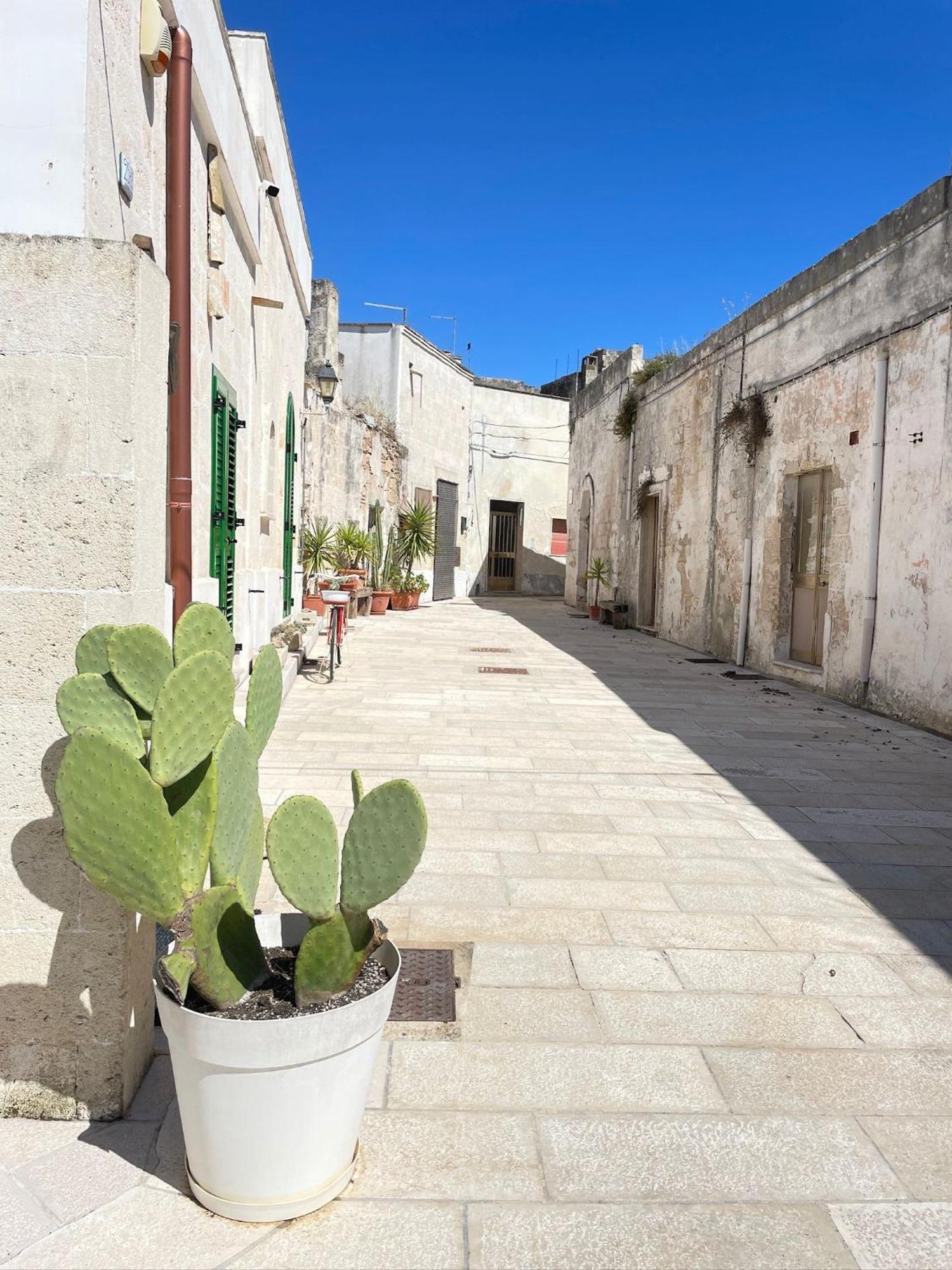B&B Borgo Monacizzo Eksteriør billede